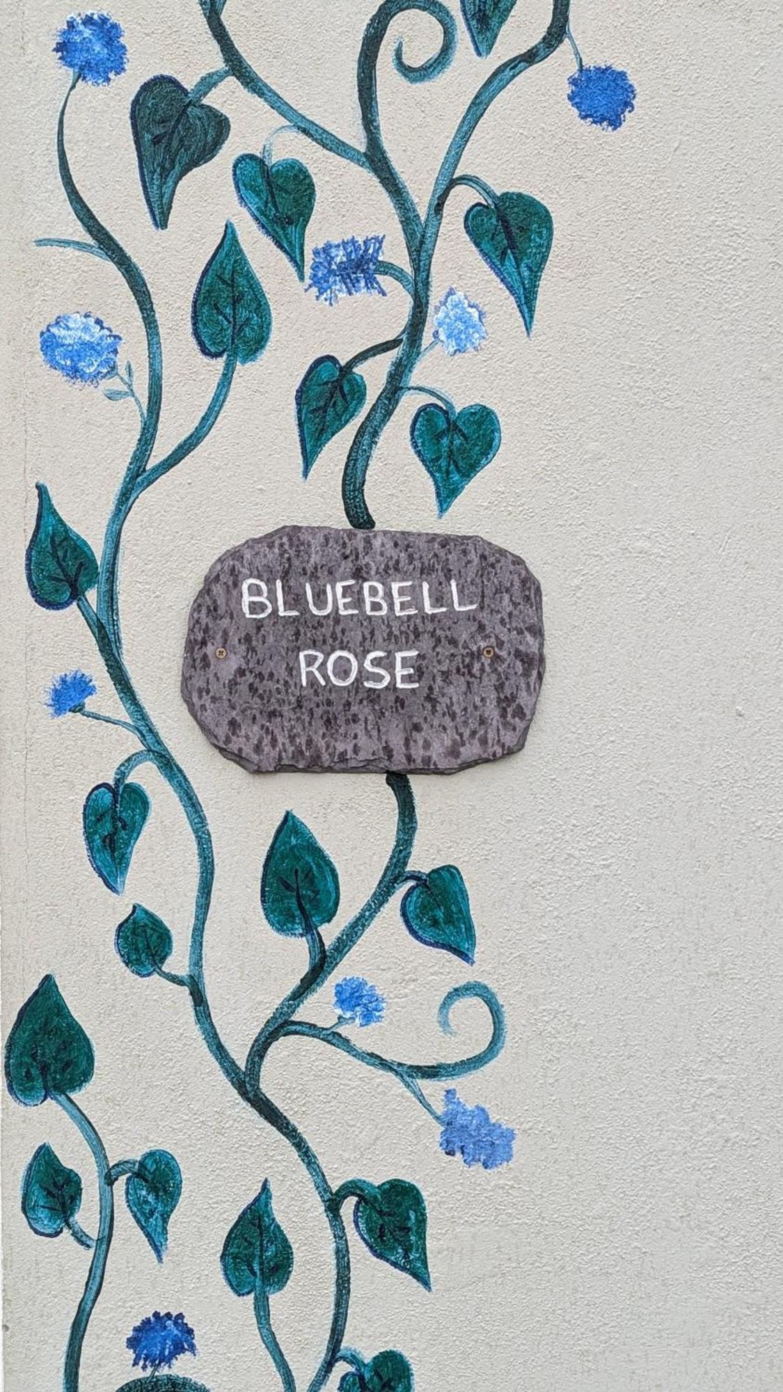 Skellig View Bluebell Rose & The Kerry Cliffs Apartamento Portmagee Exterior foto